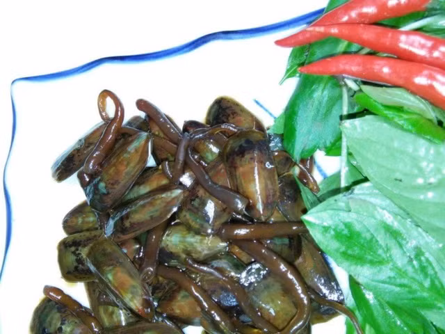 Mùa cà xỉu rộ lên nhiều từ khoảng tháng 6 đến tháng 8 hàng năm. Dù có vẻ ngoài khá kỳ dị nhưng một khi thử rồi mới thấy hương vị của cà xỉu vô cùng hấp dẫn.