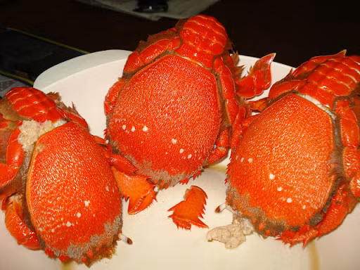 Cua huỳnh đế: Đây là món ngon của đảo Phú Quý có rộ nhất là vào tháng 12 âm lịch. Thịt cua không chỉ chắc, mà phần gạch cua còn thơm và béo ngậy. Cua huỳnh đế có thể chế biến nhiều cách như hấp, nướng than, nhưng đặc biệt phải kể đến món cháo.