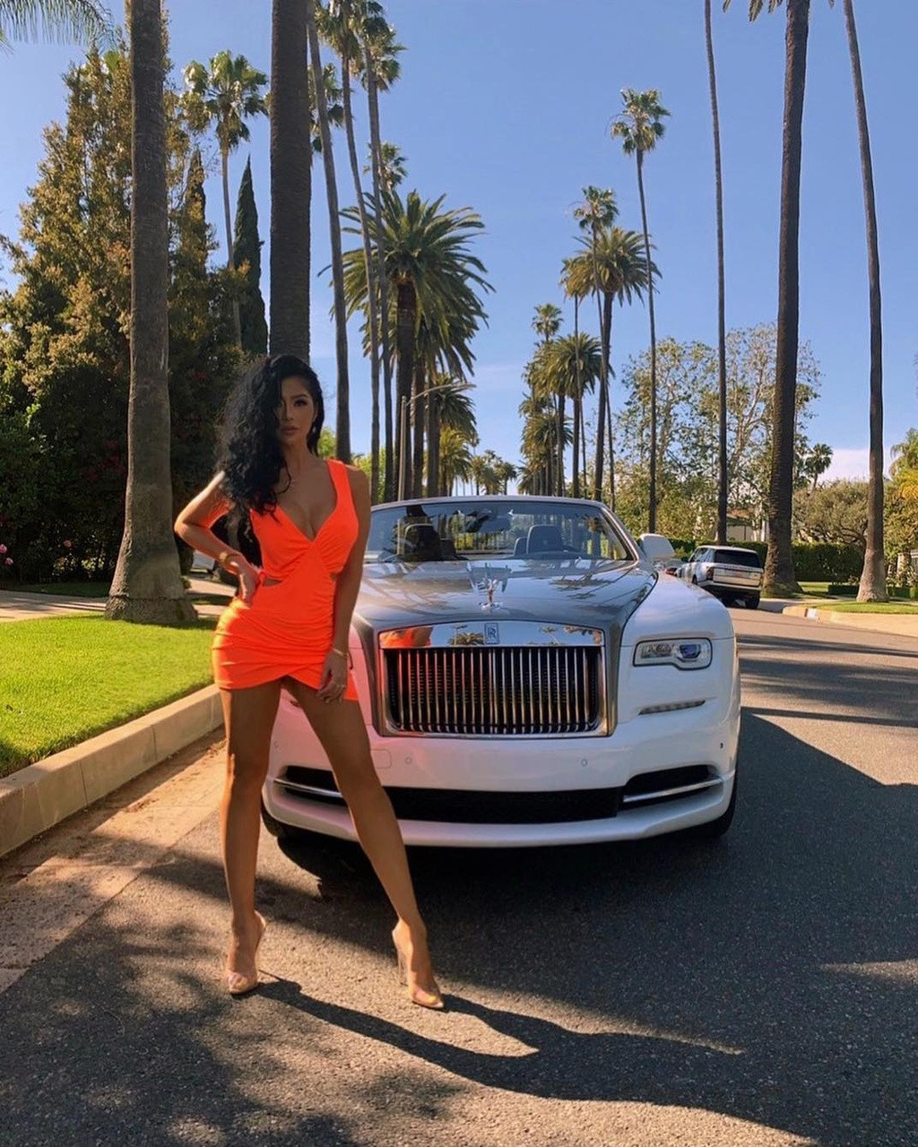 Có bố là tiểu thuyết gia người Mỹ Danile Segal (nổi tiếng với tác phẩm Bí ẩn Harry Fox) và mẹ là người Việt, Kim Lee thừa hưởng nét đẹp lai vừa nóng bỏng của phương Tây lại không kém phần bí ẩn của người con gái Á Đông.