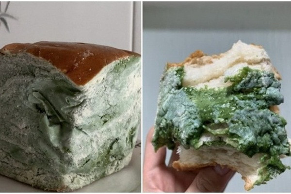 “Giai ma” loai banh mi moc meo duoc dan tinh khen ngon nuc no