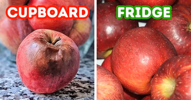 Táo: Trái cây này sẽ tươi và giòn lâu hơn cả tháng khi được bảo quản trong túi chống ẩm trong tủ lạnh. Bạn nên tránh rửa táo trước khi bảo quản vì nó có thể gây hư hỏng.