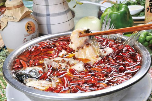 Điểm nhấn quan trọng của món ăn này là cá đã chần qua nước sôi được nhúng vào chảo dầu nóng, với ớt khô và hạt tiêu Tứ Xuyên. Nên dùng đũa vớt cá ra khỏi dầu bởi vì loại dầu này không nên dùng. Đó là một món ăn địa phương đã được hoàn tất bằng dầu sôi và hương liệu.