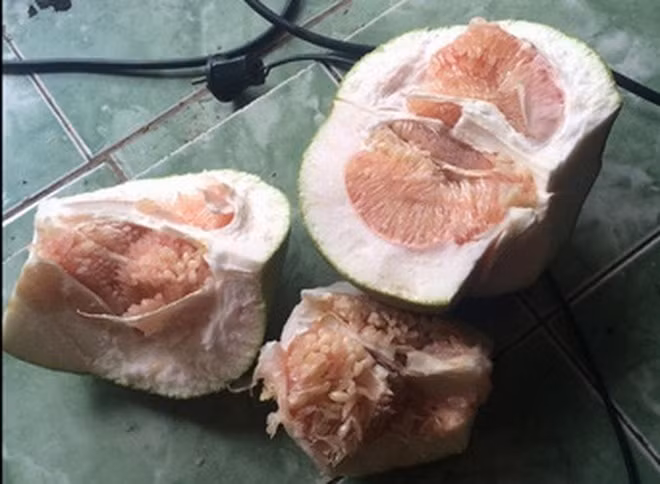 Lời khuyên cho các nàng đoảng là "né" bổ bưởi nhé, làm việc gì dễ dễ thôi