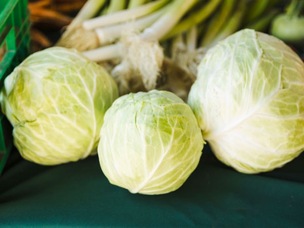 Bắp cải: Các loại rau họ cải như bắp cải có chứa phytoestrogen. Chúng là các hợp chất giống như estrogen có nguồn gốc thực vật chủ yếu ở dạng genistein, biochanin, daidzein, glycitein và formononetin. Trong số đó, genistein giúp kích thích sản xuất progesterone trong buồng trứng cùng với việc ngăn ngừa sự phát triển của tế bào ung thư, cải thiện chức năng tình dục và giúp tăng khả năng sinh sản khỏe mạnh.