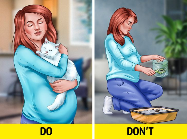 8. Không dọn vệ sinh cho mèo vì điều này có thể dẫn đến các biến chứng. Ôm ấp với mèo khi đang mang thai là an toàn, nhưng trong một số trường hợp, việc dọn dẹp vệ sinh cho chúng có thể dẫn đến các biến chứng thai kỳ và thậm chí là sẩy thai. Chất thải của mèo chứa đầy ký sinh trùng và vi khuẩn, trong đó, Toxoplasma gondii đặc biệt có hại cho mẹ bầu và trẻ sơ sinh. Nếu em bé mắc phải nó, nó có thể gây ra các vấn đề về sức khỏe.