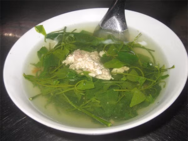 Rau ngót rừng có màu xanh thẫm, óng ả, mỡ màng, chứa hàm lượng protit và acid amin cao hơn hẳn các loại rau khác, rau sắng đặc biệt rất bổ cho những phụ nữ mới sinh và người mới ốm dậy, loại rau này còn được coi là một vị thuốc chữa bệnh đường ruột rất tốt.