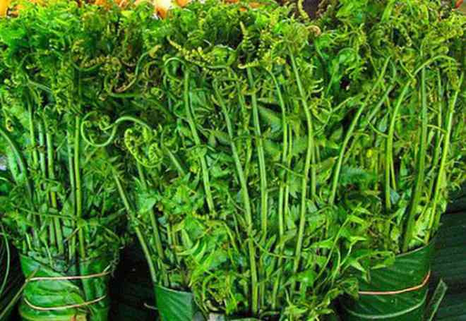 Rau dớn: Đây là loại rau mọc hoang dã bìa rừng và ven các dòng suối có hình dạng tựa như dương xỉ. Đây được coi là loại rau đặc sản, rau sạch không những được bán thường xuyên trong các chợ phiên Tây Bắc mà còn được người dân mang bán sang Trung Quốc với giá khá cao.