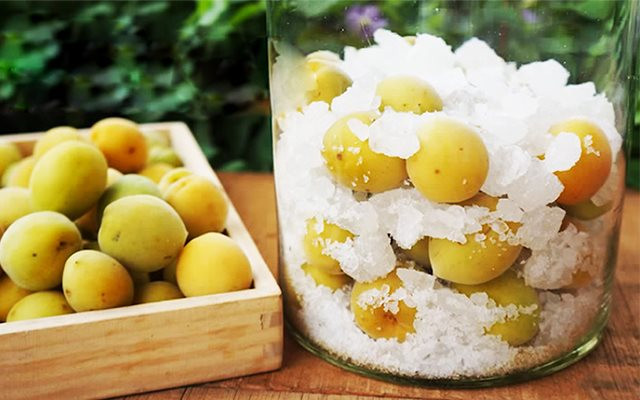 Những trái mơ tuy không thể trở thành món quà vặt để lai rai mỗi ngày, nhưng chỉ cần bà nội trợ tỉ mẩn với đường là thế nào cũng có một bình mơ ngâm tuyệt ngon để giải nhiệt của ngày hè nắng nóng.