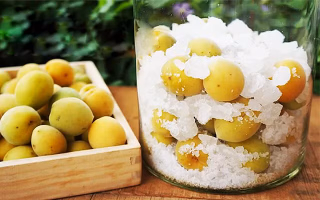 Những trái mơ tuy không thể trở thành món quà vặt để lai rai mỗi ngày, nhưng chỉ cần bà nội trợ tỉ mẩn với đường là thế nào cũng có một bình mơ ngâm tuyệt ngon để giải nhiệt của ngày hè nắng nóng.