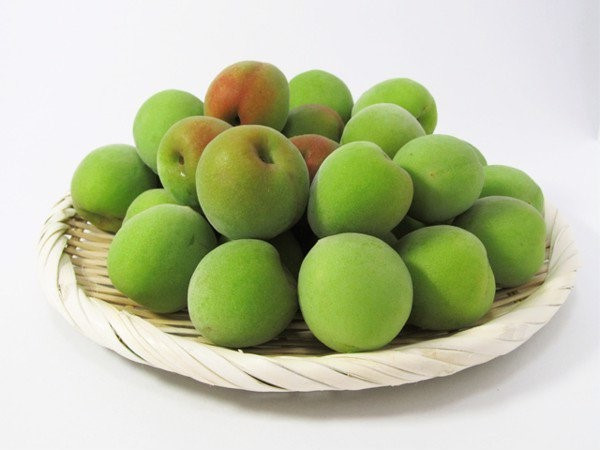 Quả mơ: Cùng với mận cũng là lúc mơ xuất hiện, quả mơ chua gắt, người giỏi ăn chua cũng chỉ ăn được vài ba quả là chịu chết, nhưng người miền Bắc nói chung và người Hà Nội nói riêng vẫn chào đón thứ quả chua này như dấu hiệu của mùa hè.