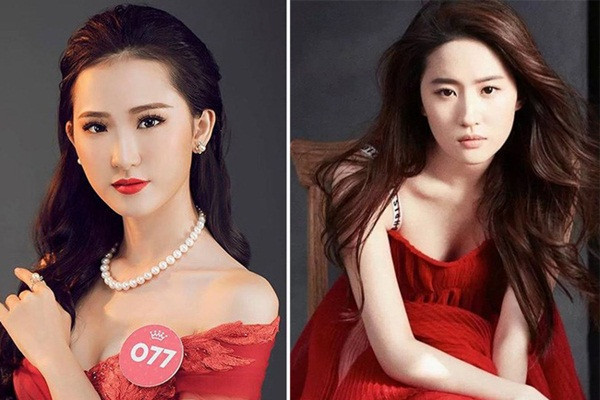 Phan Cẩm Nhi là gương mặt quen thuộc trong các cuộc thi sắc đẹp. Dù không đạt được thứ hạng cao nhưng cô vẫn được fan sắc đẹp công nhận có vẻ đẹp tựa nữ diễn viên nổi tiếng Lưu Diệc Phi. Cũng chính từ đây mà Phan Cẩm Nhi được nhắc tới với biệt danh "bản sao Lưu Diệc Phi" ở Đà Nẵng.