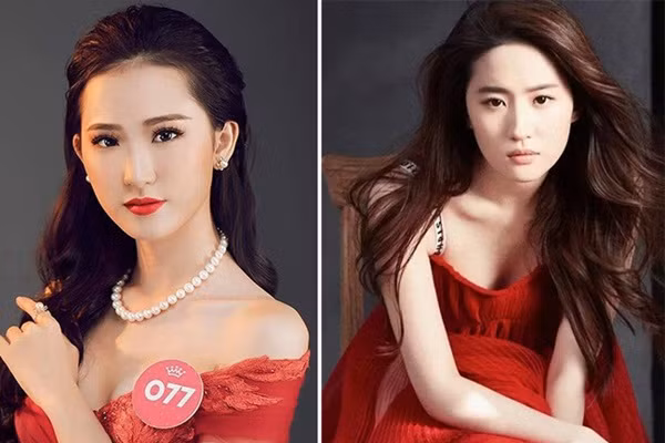 Phan Cẩm Nhi là gương mặt quen thuộc trong các cuộc thi sắc đẹp. Dù không đạt được thứ hạng cao nhưng cô vẫn được fan sắc đẹp công nhận có vẻ đẹp tựa nữ diễn viên nổi tiếng Lưu Diệc Phi. Cũng chính từ đây mà Phan Cẩm Nhi được nhắc tới với biệt danh "bản sao Lưu Diệc Phi" ở Đà Nẵng.