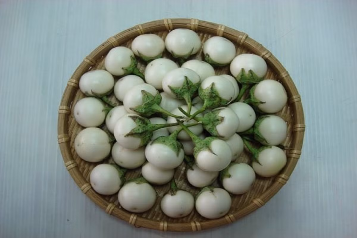 Cach lam ca phao muoi chua ngot – mon an kich thich ngon mieng ngay he-Hinh-2