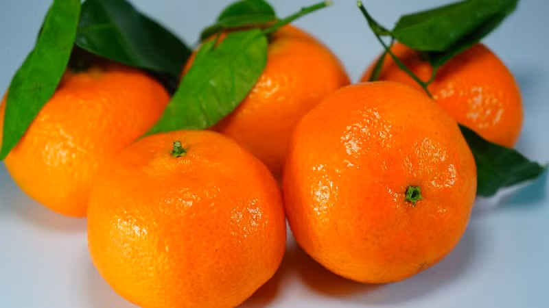 Ngoài ra, trong quả quýt có chứa một lượng lớn axit trái cây, có thể thúc đẩy sự tiết dịch của dạ dày, tăng cường tiêu hóa và hấp thu của cơ thể. Hơn nữa, quả quýt có tác dụng giải nhiệt, tăng sức đề kháng và giúp giảm mỏi mắt.