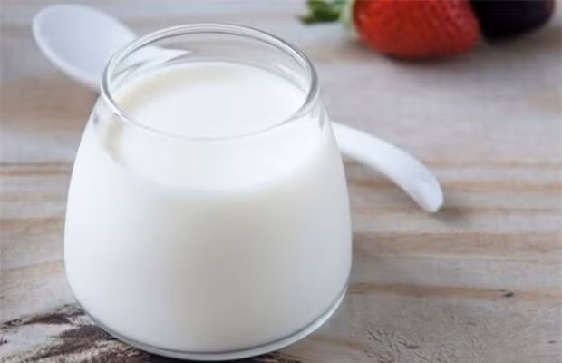 Sữa chua có thể bảo vệ niêm mạc dạ dày, làm chậm quá trình hấp thụ rượu. Hơn nữa, hàm lượng canxi phong phú trong sữa chua còn rất tốt cho việc giải tỏa khó chịu sau khi uống rượu say. Ảnh: Internet.