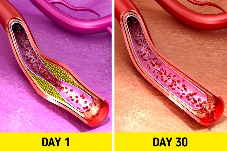 12. Mức cholesterol và chất béo trung tính có thể giảm: Các chuyên gia tại Đại học Harvard khẳng định: “Ăn một quả bơ mỗi ngày có thể làm giảm lượng cholesterol. Nó có một lượng lớn chất xơ, chất béo không bão hòa đơn và sterol thực vật, làm giảm mức cholesterol có hại”. Ảnh: BS, IT.