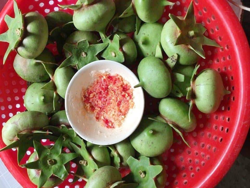 Trái bần chua mùa nước nổi đã trở thành biểu tượng của miền Tây sông nước. Bần mọc hoang bên bờ sông, bần nấu canh chua ngon hết sẩy và bần chấm muối cũng không chê vào đâu được. Bần xanh mang vô chấm muối ớt với vị chua đặc trưng chắc chắn sẽ khiến bạn xuýt xoa.