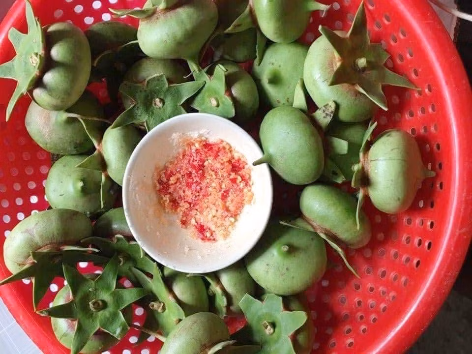 Trái bần chua mùa nước nổi đã trở thành biểu tượng của miền Tây sông nước. Bần mọc hoang bên bờ sông, bần nấu canh chua ngon hết sẩy và bần chấm muối cũng không chê vào đâu được. Bần xanh mang vô chấm muối ớt với vị chua đặc trưng chắc chắn sẽ khiến bạn xuýt xoa.