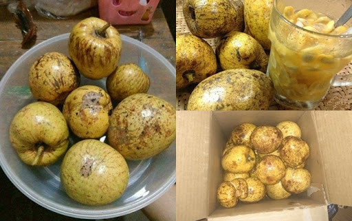 Bình bát: Trong cái nắng ngày hè chói chang này, một ly bình bát dằm đá thanh nhiệt quả là tuyệt vời cho bạn đó. Nhưng ăn bình bát sẽ hơi mỏi miệng vì rất nhiều hạt không thể nuốt. Đây sẽ là trải nghiệm thú vị cho những ai lần đầu tiên thưởng thức món trái cây đặc sản miền Tây này.