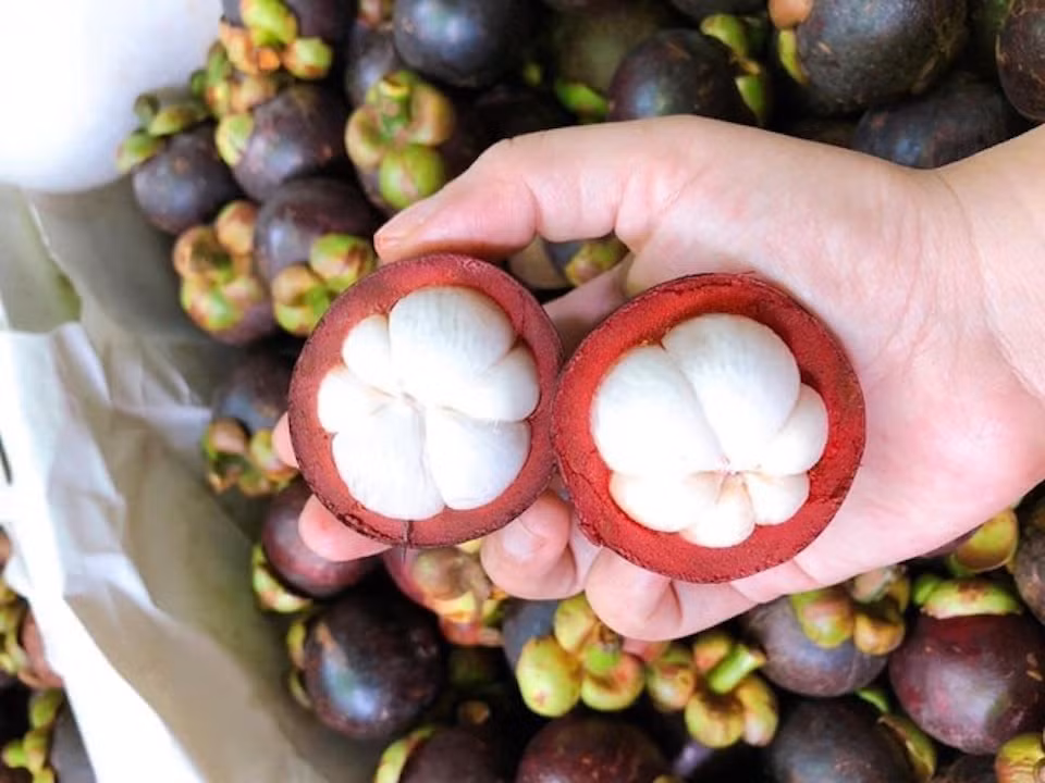 Măng cụt: Vị chua chua, ngọt ngọt thanh mát của măng cụt đã khiến nhiều du khách ăn rồi nhớ mãi. Không quá kén người ăn như sầu riêng cũng không nóng như chôm chôm, mùa hè là thời điểm măng cụt được ưa chuộng hơn bao giờ hết.