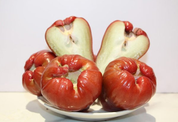 4. Quả roi là một siêu thực phẩm tuyệt vời chứa đầy chất chống oxy hóa quan trọng. Nó rất tốt cho não và mắt do sự hiện diện của tecpenoit. Canxi trong quả roi có thể giúp duy trì sức khỏe của xương trong khi chất xơ giúp ngăn ngừa táo bón và các vấn đề tiêu hóa khác.