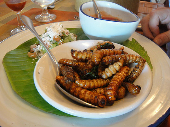 Người ta xiên những chú sâu to tròn có độ dài khoảng từ 9 - 12cm vào que và đem nướng trực tiếp trên lửa. Sau khoảng 2 phút, thịt sâu sẽ trắng và giòn dai.