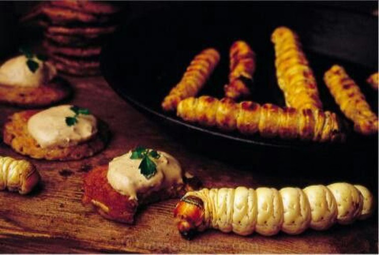 Những người thưởng thức món sâu nướng này đều nói rằng, nó có vị giống thịt tôm sú nướng hoặc thịt gà.