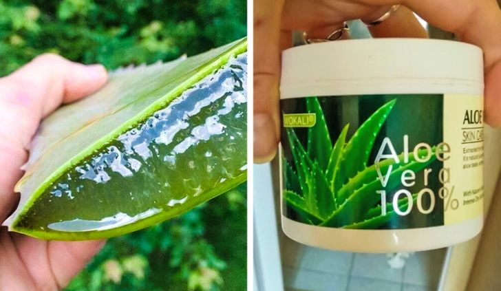 4. Đắp nha đam: Nguyên liệu này có nhiều lợi ích sức khỏe cho làn da, trong đó có tác dụng chữa nám. Thoa kem hoặc gel lô hội mỗi ngày và sau một thời gian ngắn bạn sẽ nhận thấy kết quả khả quan.