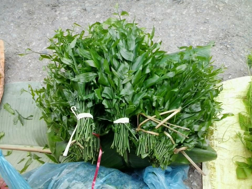 Rau sắng: Đây là một trong những món ngon mà những du khách lúc “hành hương” đến đất Phật chùa Hương muốn mua về nhiều nhất để về làm quà cũng như thưởng thức. Nhiều người còn gọi rau sắng bằng những cái tên khác như rau ngót rừng, rau ngót núi…