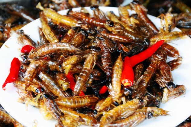 Chuồn chuồn được vặt cánh sau đó chiên giòn tạo độ ngậy và vị thơm ngon. Bạn có thể bắt gặp món này trên khắp các đường phố Indonesia. Chuồn chuồn chiên giòn béo ngậy.