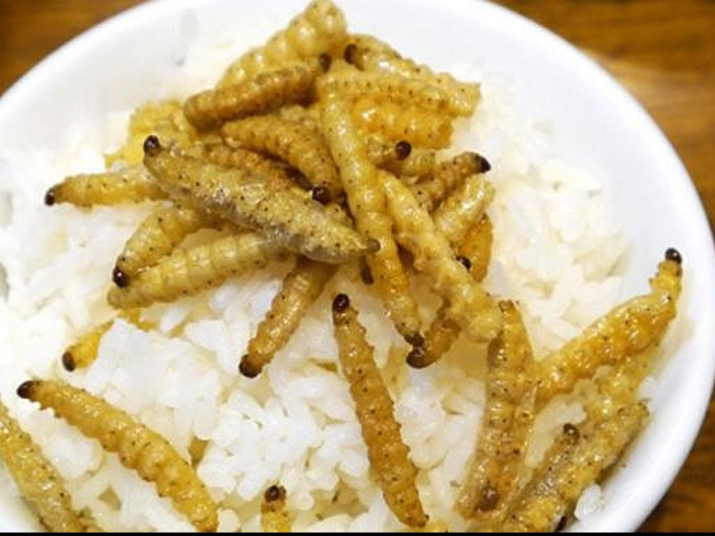 Tuy nhiên, không phải loài sâu bướm nào cũng có thể được chế biến thành món ăn mà chỉ có những loài thuộc họ lyman tridae mà thôi. Loại côn trùng này được cho là rất giàu protein và rất an toàn khi ăn hàng ngày.