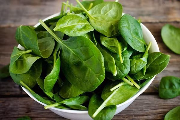 5. Cải bó xôi: Giàu vitamin C và chứa nhiều chất chống oxy hóa và beta carotene, cải bó xôi là một thực phẩm bổ sung tốt cho chế độ ăn uống. Loại rau này cũng rất giàu vitamin K, giúp tăng cường miễn dịch. Ngoài ra, cải bó xôi còn có nhiều chất chống oxy hóa và beta carotene, làm tăng khả năng chống nhiễm trùng của hệ thống miễn dịch.