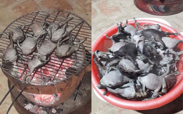 Còn với món nướng, ếch òn sau khi bắt về sẽ được làm sạch bằng nước ấm có một chút muối để tẩy sạch chất nhầy trên cơ thể, sau đó sẽ được phơi qua một ngày cho khô ráo, tiếp đó cứ thế cho lên bếp lửa hồng bập bùng, mùi thơm nghi ngút bốc lên, đến khi thịt ếch òn vàng rụm là món ăn hoàn thành.