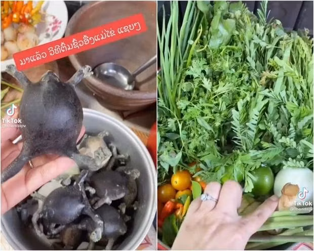 Mặc dù có vẻ ngoài khá đáng sợ nhưng món ếch òn không chỉ có ở Việt Nam mà còn là đặc sản của người dân ở khu vực Đông Bắc Thái Lan, nằm ở cao nguyên Khorat.