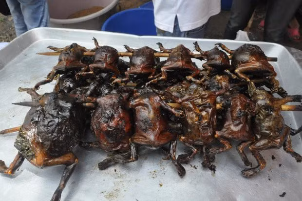 Ếch òn nướng hay được chấm với muối ớt cay, hoặc mắm me có giã thêm lá cà ri rừng.