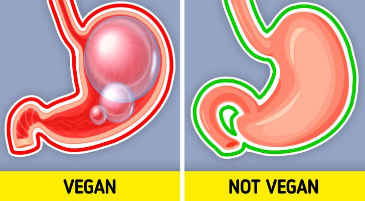6. Bạn dễ bị đầy hơi hơn: Ăn nhiều rau như cải bruxen, bông cải xanh và bắp cải có thể khiến bạn bị đầy bụng. Điều này là do cơ thể bạn không thể xử lý tất cả các chất xơ. Do đó, bạn nên uống nhiều nước theo chế độ ăn thuần chay để đảm bảo rằng hệ tiêu hóa đang tiêu hóa thức ăn một cách khỏe mạnh.