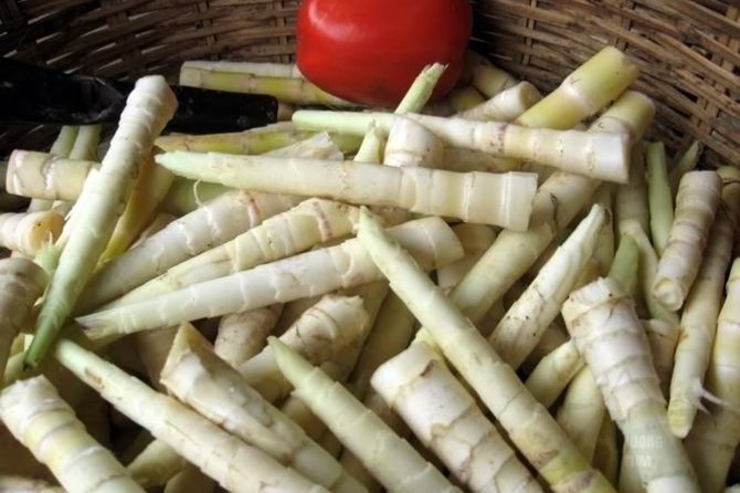 Người Kon Tum hay ăn cay nên măng lúc nào cũng phải có vị chua cay vừa đủ. Có khi còn cho thêm cả ớt vào món xôi măng nữa.