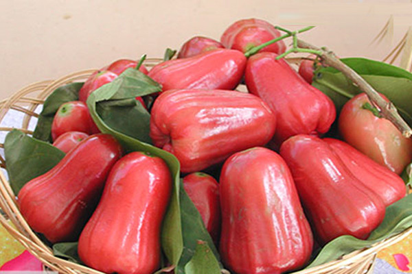 10 loi ich bat ngo cua qua roi doi voi suc khoe-Hinh-2