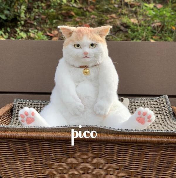 Chiếc balo con mèo có thể ngồi được khiến ai cũng giật mình tưởng thật. Ảnh: Internet.