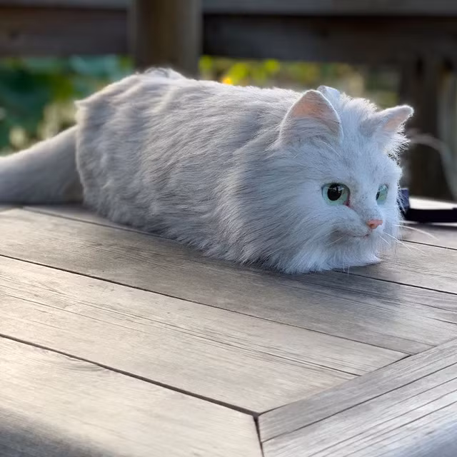 Những chiếc balo hình động vật không phải là một điều gì đó quá mới mẻ, tuy nhiên điểm tạo nên sự đặc biệt trong các sảm phẩm của Pico đó chính là sự chân thực của sản phẩm.