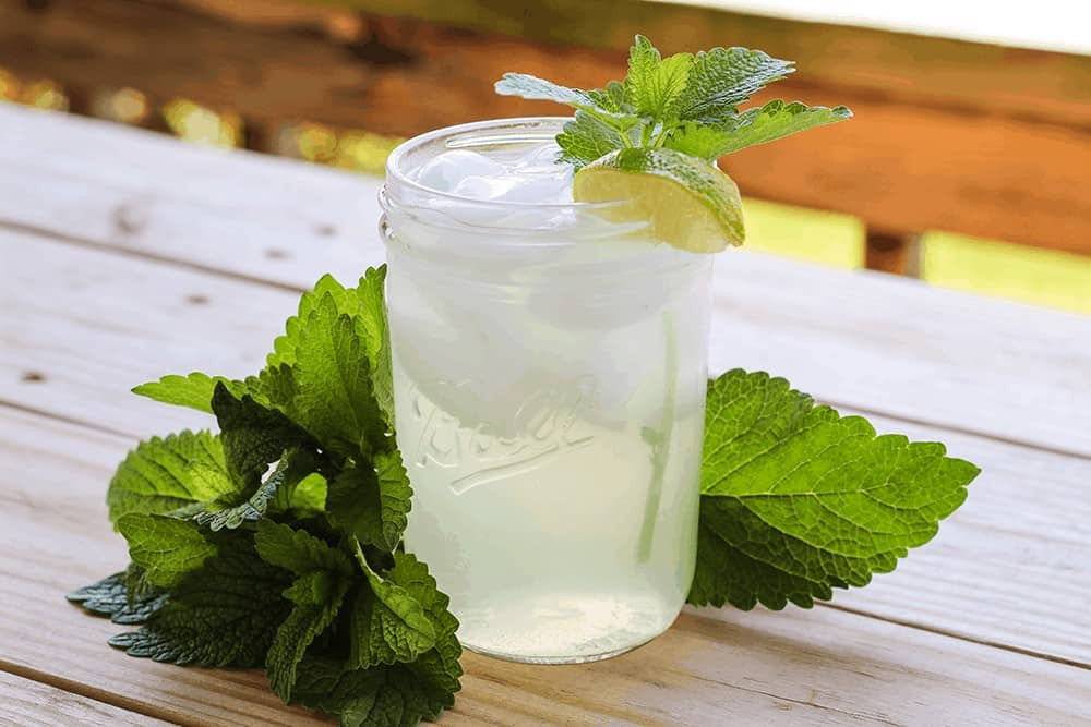 Cac loai tra thao moc mat me va lanh manh cho suc khoe