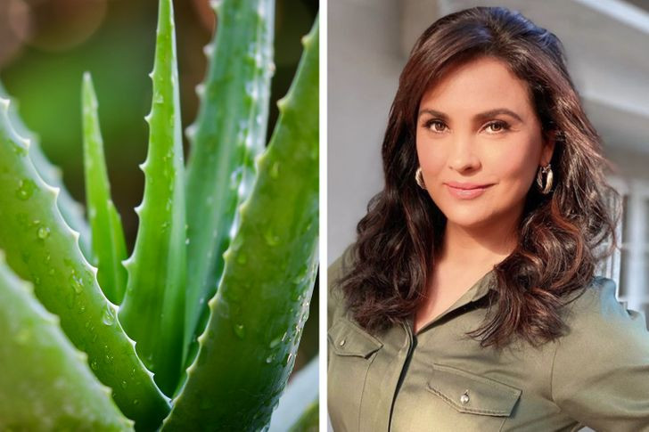 7. Nha đam có thể chữa lành da. Hoa hậu Hoàn vũ Lara Dutta sở hữu nhan sắc và làn da rạng rỡ ở tuổi 43. Bí quyết làm đẹp của cô là tắm nắng đủ vào buổi sáng để bổ sung vitamin D. Trong trường hợp da nổi mụn hoặc bị viêm, cô sẽ lấy một lá lô hội ở sân sau và dùng phần gel bên trong để mát-xa da.