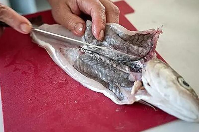 Lớp màng đen trong bụng cá thực sự là lớp bên trong phúc mạc của cá, có vai trò bảo vệ các cơ quan nội tạng và bôi trơn. Đây là nơi lắng đọng của các tế bào sắc tố trong cá nên mới có màu đen và có thể ăn được.