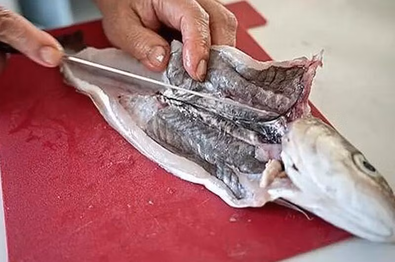 Lớp màng đen trong bụng cá thực sự là lớp bên trong phúc mạc của cá, có vai trò bảo vệ các cơ quan nội tạng và bôi trơn. Đây là nơi lắng đọng của các tế bào sắc tố trong cá nên mới có màu đen và có thể ăn được.