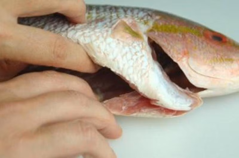 Khi ăn cá, mọi người nên chọn những loại ruột cá ăn được và chế biến cẩn thận. Trước khi nấu, nên rửa thật sạch bằng muối. Và đặc biệt phải nấu thận chín, tránh nguy cơ mắc các bệnh ký sinh trùng.