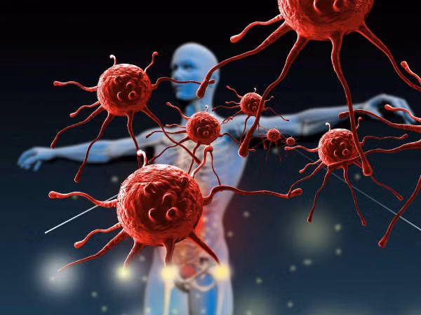 Hat thong an Tet va nhung loi ich suc khoe co the ban chua biet-Hinh-4