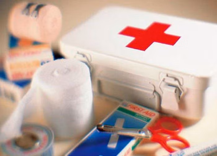 Nhung loai thuoc can tich san trong nha dip Tet den Xuan ve-Hinh-11