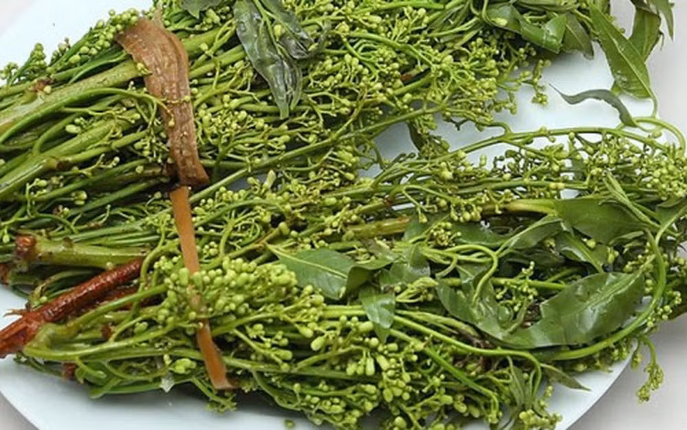 Món đặc sản miền Tây này được làm từ những lá sầu đâu non có vị hơi đắng rất đặc biệt. Hằng năm, vào khoảng tháng 11 đến tháng 3 Âm lịch là thời điểm cây sầu đâu bắt đầu thay lá, ra hoa.