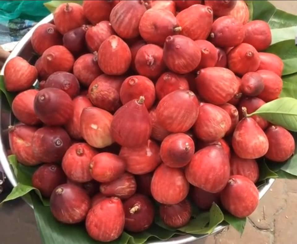 Quả điều đỏ được người Miền Nam Việt Nam gọi là “mận đỏ” hay “điều đỏ” cùng chi với mận. Loại trái cây độc lạ này có mùi thơm không lẫn vào đâu được, thịt màu trắng, mọng nước và chua ngọt đặc trưng chứ không lẫn vị chát như mận. Mùa điều đỏ miền Tây chín rộ nhất là vào khoảng tháng 11 đến tháng 12 âm lịch hàng năm.