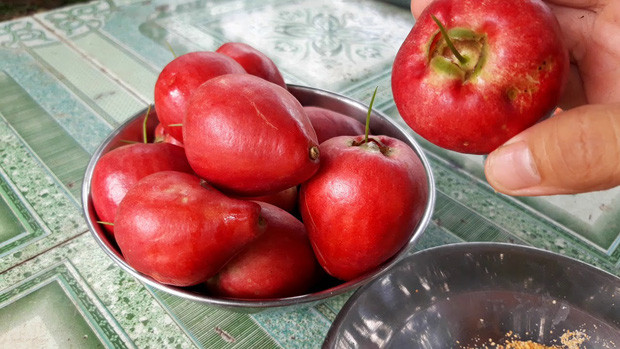 Quả điều đỏ có trái chín màu đỏ sậm và hoa màu đỏ đậm, vì vậy, người Hoa gọi loại trái này là “hồng hoa bồ đào”, có thịt trắng, nhiều nước, thơm, vị ngọt, chua, không lẫn vị chát như mận mà chúng ta thường thấy.